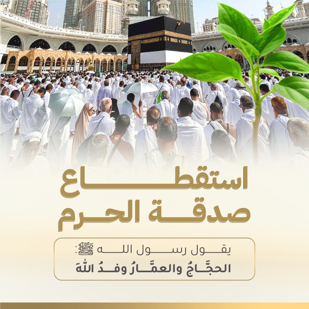 إفطارات 